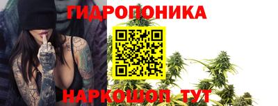 хмурый Новозыбков