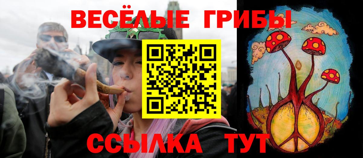 Галлюциногенные грибы Psilocybe  Псилоцибиновые грибы Magic Shrooms  Вход с VPN  Советск 