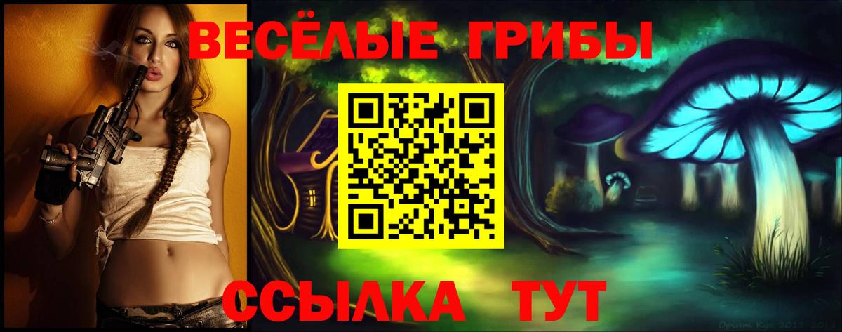 Псилоцибиновые грибы Cubensis Советск