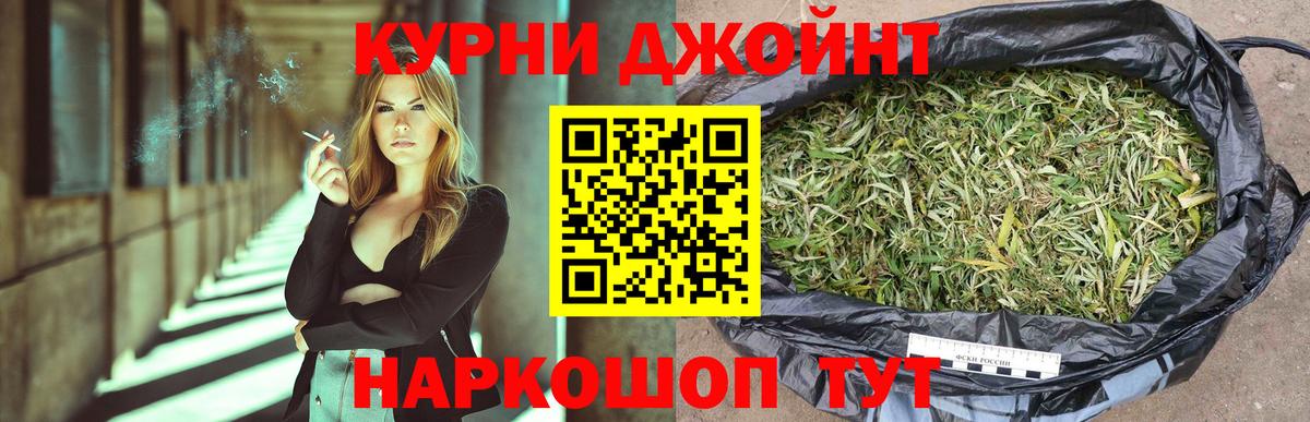 Канабис планчик Советск